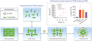 Self-Assembling Ceramide 2-Cyclodextrin Inclusion Nanoparticles for Corneal Repair