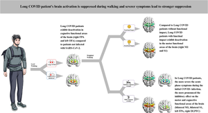 Long COVID patients' brain activation is suppressed during walking and severer symptoms lead to stronger suppression.