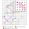 Flexible quantum data bus for quantum networks