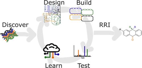 Synthetic Biology of Natural Products Engineering: Recent Advances Across the Discover-Design-Build-Test-Learn Cycle.