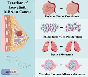 The potential of lenvatinib in breast cancer therapy.