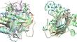 RNA or DNA? Revisiting the Chemical Nature of the Cenancestral Genome.