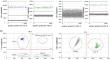 Discovery unbalanced DNA mixtures and evaluation mixing ratio via a droplet digital PCR method.