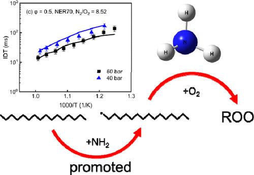 Exploring the Interaction Chemistry of Ammonia with n-Hexadecane over Wide Pressure Ranges: An Experimental and Kinetic Modeling Study