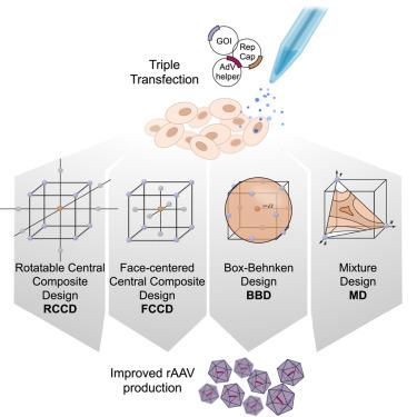 Unlocking DOE potential by selecting the most appropriate design for rAAV optimization