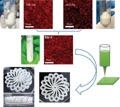 Bioinks from All‐Natural Pickering Emulgels Co‐Stabilized by Cationic CNC and Inclusion Complexes Formed by α‐Cyclodextrin