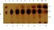 Biosynthesis and one-step enrichment process of potentially prebiotic cello-oligosaccharides produced by β-glucosidase from Fusarium solani