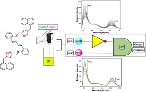 A ‘click’ based fluorescent probe mimicking the IMPLICATION logic gate for Cu(ii) and Pb(ii) sensing: DFT and molecular docking studies†