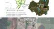 An analysis of spatiotemporal changes and local governance toward the management of geographically isolated wetlands (Paulista Peripheral Depression, Brazil)