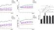 Comparison of the effects of Liraglutide, Tirzepatide, and Retatrutide on diabetic kidney disease in db/db mice.