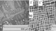 The Effect of Aging Heat Treatments on Room and High-Temperature Wear Performance of the Inconel 718™ Manufactured by Laser Powder Bed Fusion