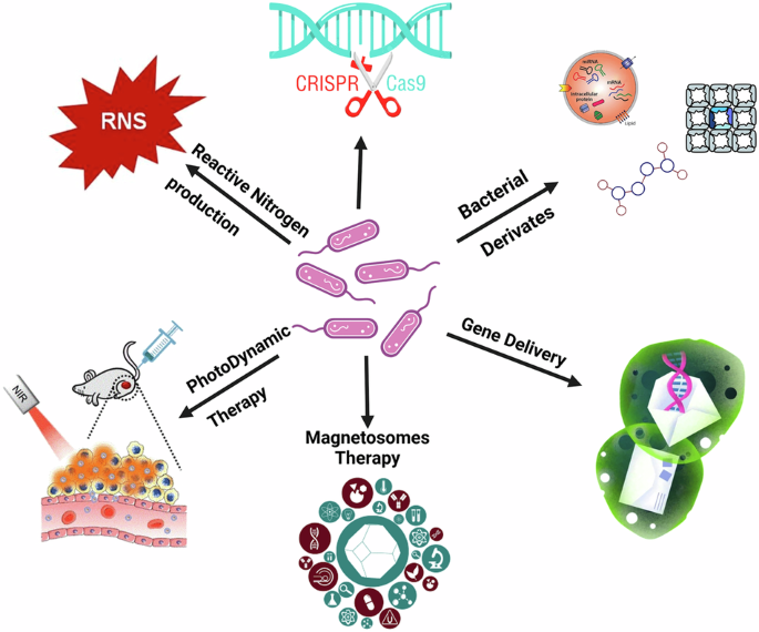 Bacterial nanotechnology as a paradigm in targeted cancer therapeutic delivery and immunotherapy.