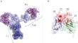 Molecular Modeling Methods in the Development of Affine and Specific Protein-Binding Agents.