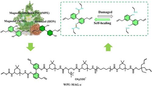 The effect of copolymerization of Hou Po-bisphenol units on cationic waterborne polyurethane