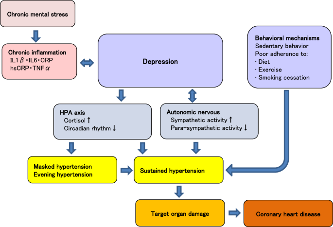 Depressive symptoms and the development of hypertension