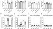 Specific Activation of Dopamine Receptor D1 Expressing Neurons in the PrL Alleviates CSDS-Induced Anxiety-Like Behavior Comorbidity with Postoperative Hyperalgesia in Male Mice.