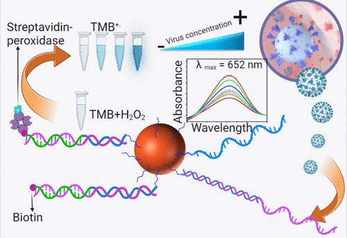 Colorimetric Hybridization Sensor for DNA Mimic of a SARS-CoV-2 RNA Marker: Direct and Inverse Bioanalysis