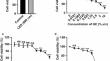 Light-emitting diode irradiation at 590 nm combined with active substances modulates ultraviolet B radiation-induced keratinocyte inflammation.