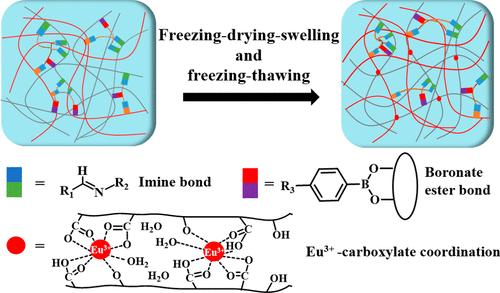Fabrication of Luminescent Triple-Cross-Linked Gelatin/Alginate Hydrogels through Freezing-Drying-Swelling and Freezing-Thawing Processes.