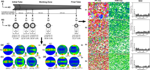 Microstructural and Textural Evolution of a Zr-Sn-Nb-Fe Alloy Tube During Cold Pilger Rolling