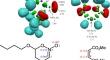 Elucidating the mechanism and selectivity of [3 + 2] cycloaddition: a DFT and molecular docking investigation of the reaction of 6-butoxy-5,6-dihydro-4H-1,2-oxazine 2-oxide with dimethyl maleate