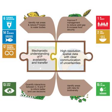 Understanding soil phosphorus cycling for sustainable development: A review