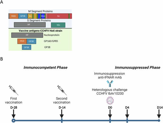 Crimean Congo hemorrhagic fever virus nucleoprotein and GP38 subunit vaccine combination prevents morbidity in mice.