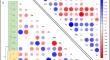 Analysis of Nutrient and Heavy Metal Contents of Historical Apple Varieties Growing in the Eastern Anatolia Region of Türkiye