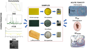 Characterization and ecotoxicity of microparticles from polyurethane foam and Luffa cylindrica in Daphnia magna and Artemia salina