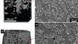 Identifying crystal nucleation mechanisms in a synthetic trachybasalt: a multimodal approach