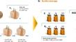 The Interplay of Bottle Storage and Wood Ageing Technology: Volatile and Sensory Profiles of Wine Spirits Aged with Chestnut Wood