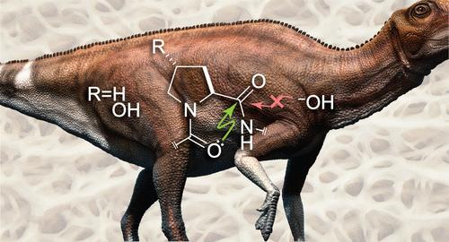 Pauli Exclusion by n→π* Interactions: Implications for Paleobiology