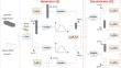 A GAN based method for cross-scene classification of hyperspectral scenes captured by different sensors