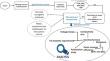 Exploitation of moringa biomass to fabricate graphene electrode for electricity generation with wastewater treatment through microbial fuel cells