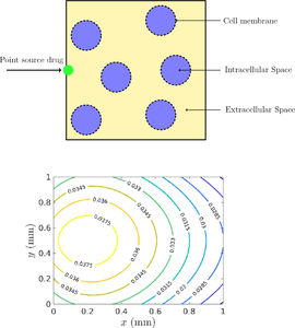 A Model for Reversible Electroporation to Deliver Drugs into Diseased Tissues.