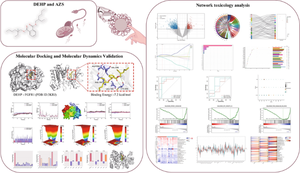 Environmental pollutant Di-(2-ethylhexyl) phthalate induces asthenozoospermia: new insights from network toxicology