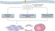 Emerging insights into pulmonary hypertension: the potential role of mitochondrial dysfunction and redox homeostasis