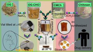 A Schiff base hydrogel of oxidized okra gum and carboxymethylated chitosan: a biocompatible and biodegradable injectable system for drug delivery in wound care