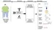 Effect of weight loss interventions on metabolomic signatures in obese children with insulin resistance.