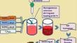 Exploring the synthesis, characterization, electrical, and magnetic behavior of crystalline Ni1-xZnxFe2O4 nanoparticles