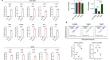 Metformin reduced the alkaline resistance of Enterococcus faecalis against calcium hydroxide via Man-PTS EII: in vitro and in vivo studies