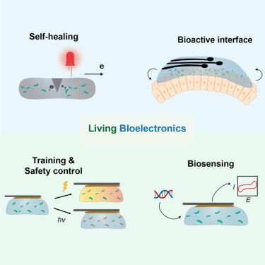 The convergence of bioelectronics and engineered living materials