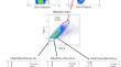 Evaluation of Th1/Th2/Th17 Balance in Pulmonary Cystic Echinococcosis Patients