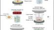 Overcoming Multidrug-Resistant Bacteria Using Novel Laser Ablated Au@Ag@Au Double Core–Shell Nanoparticles