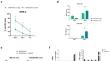 Next-generation BCMA-targeted chimeric antigen receptor CARTemis-1: the impact of manufacturing procedure on CAR T-cell features.