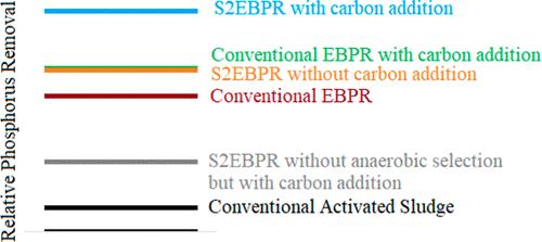 Improving Enhanced Biological Phosphorus Removal with Return Activated Sludge Fermentation and Carbon Addition in a Benchtop Sequencing Batch Reactor Treating Real Wastewater