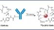 Zirconium- 89 Labeled Antibody K1-70 for PET Imaging of Thyroid-stimulating Hormone Receptor Expression in Thyroid Cancer.