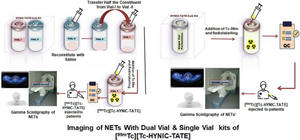 In-house production of [99mTc][Tc-HYNIC-TATE] cold kit for the diagnosis of neuroendocrine tumors in Pakistan: pre-clinical and clinical evaluation of indigenously manufactured single and dual vial kit formulation