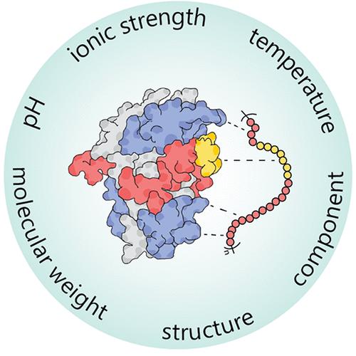 Polymers for Disrupting Protein–Protein Interactions: Where Are We and Where Should We Be?