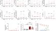 Stored RBC transfusions leads to the systemic inflammatory response syndrome in anemic murine neonates.